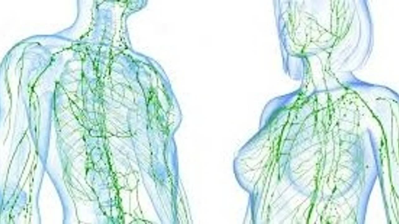 Mastering Body Mechanics